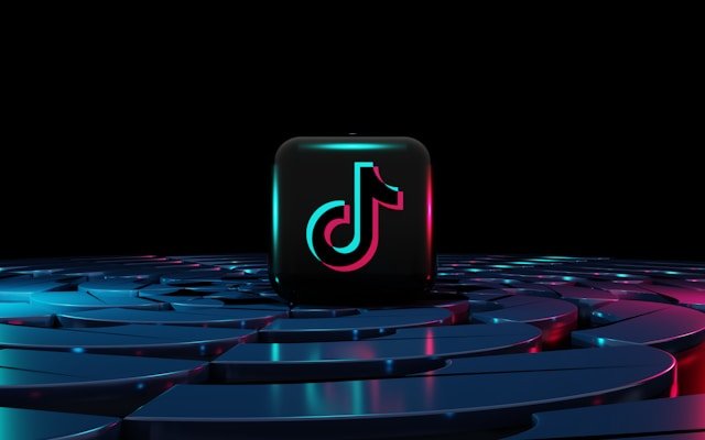 TikTok Influencers and Brands: Who Gains More Benefits?