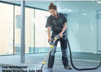 Professional Carpet Cleaning: Enhancing Your Home’s Comfort and Health