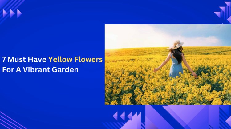 7 Must Have Yellow Flowers For A Vibrant Garden