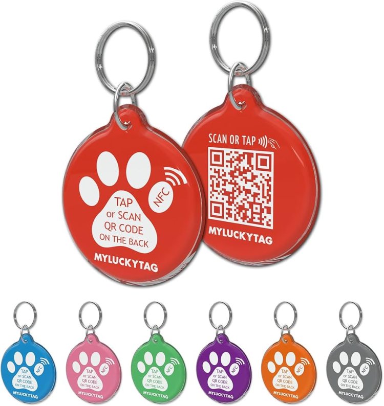 Silent Pet Tags vs. Traditional Dog Tags: Which One is More Effective?